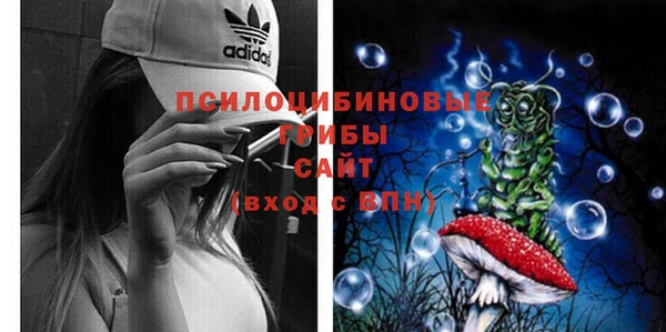 дживик Армянск